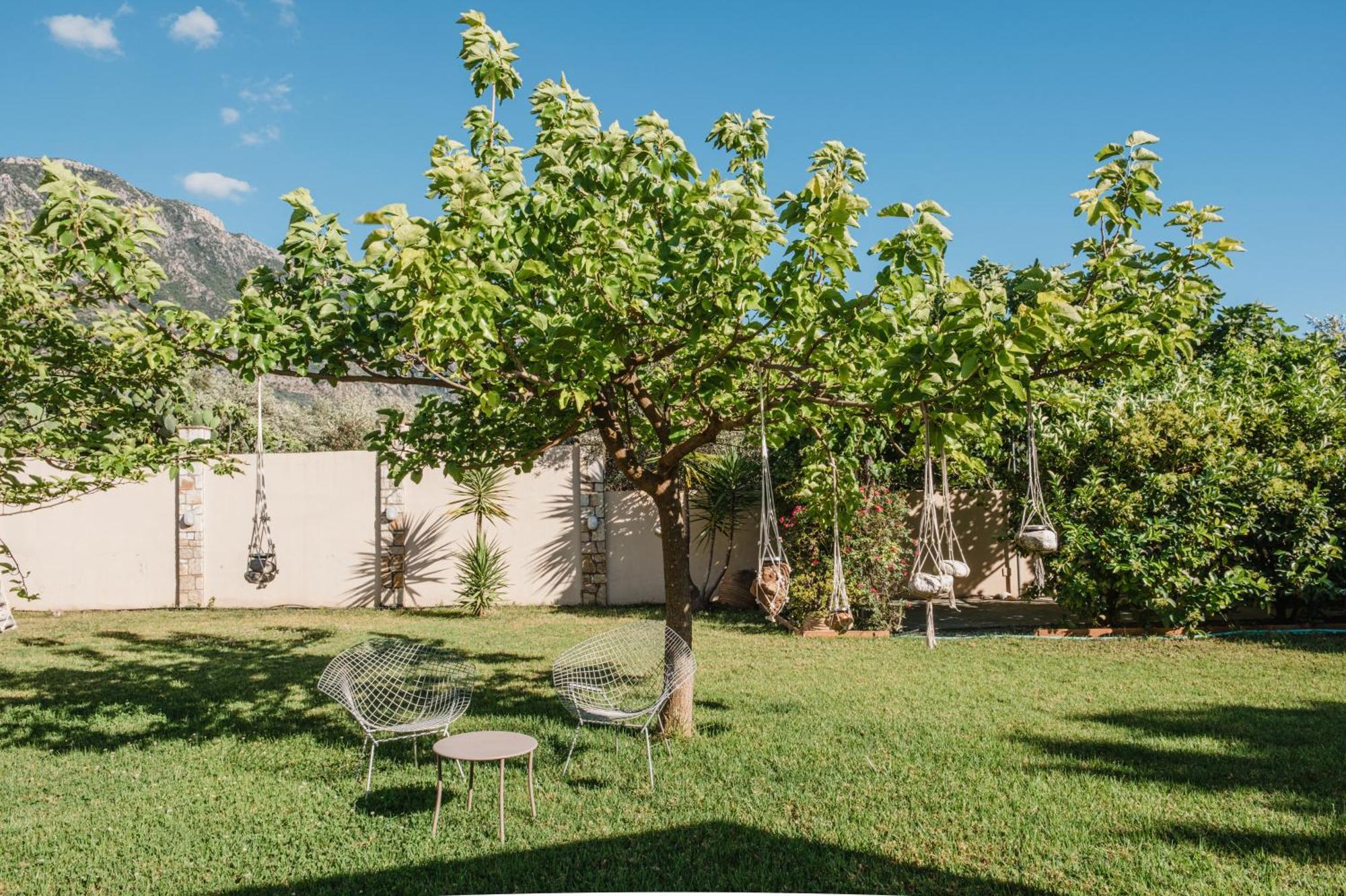 Anamnesis. Feel The Mediterranean. Kalamata Exterior foto