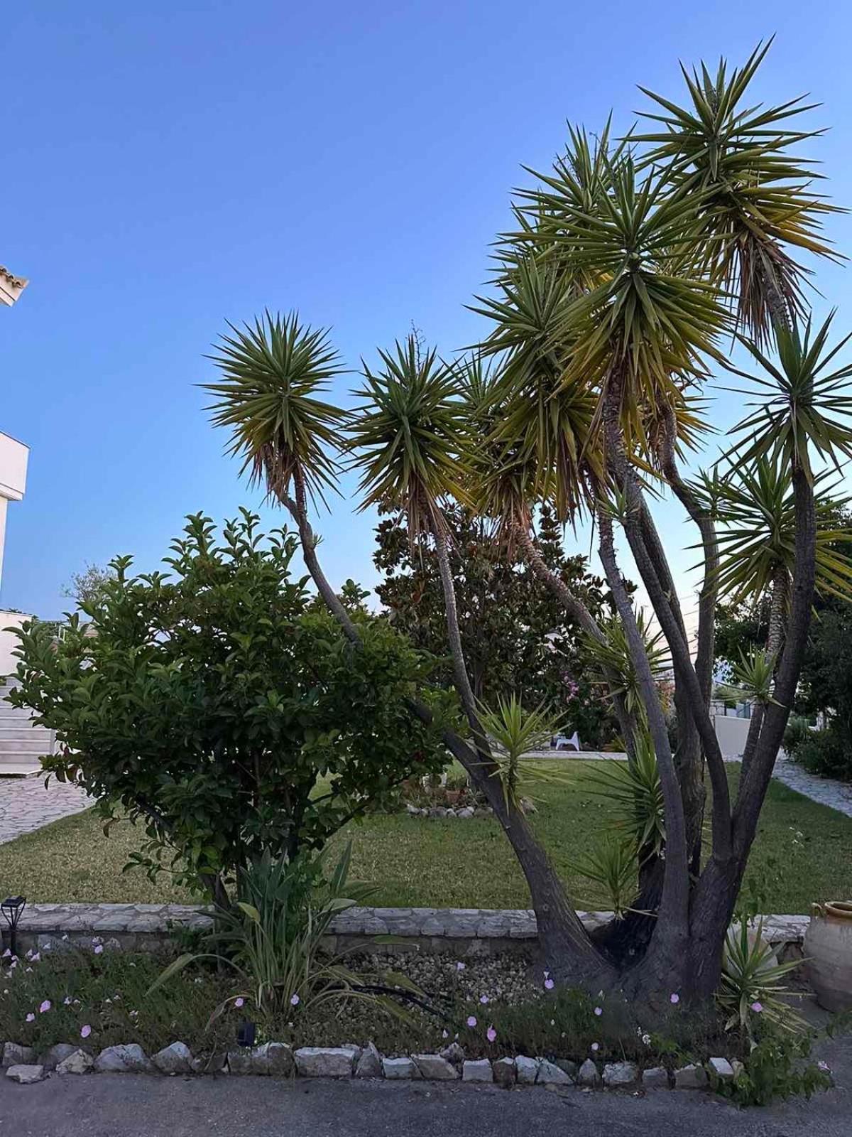 Anamnesis. Feel The Mediterranean. Kalamata Exterior foto
